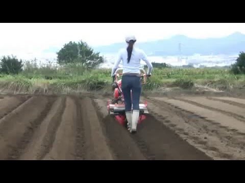 YANMAR ミニ耕うん機 SP750・YK750SP「うね立て（丸うね）」