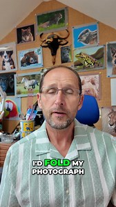 5.1K views · 133 reactions | #pastelpainting #pasteldrawing | Jason Morgan Wildlife Art | Facebook