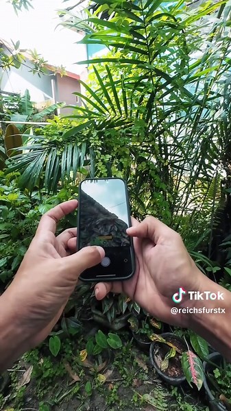 Comparasi Hape: iPhone 16 Pro vs Sony A6400
