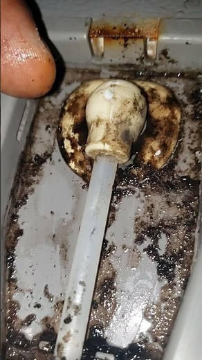 Maytag - Ice maker diagnostic