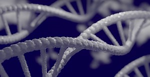 Towards a Complete Understanding of Methylation | Cell And Molecular Biology