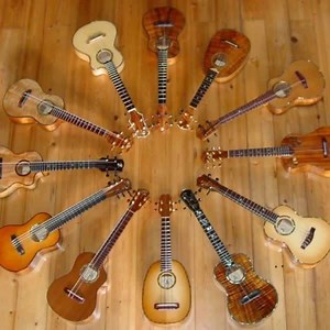 317 reactions · 51 shares | The most complete & unique musical instruments anywhere. New & Used Guitars, Bass, Drums, PA, DJ, Digital Pianos & Keyboards, Microphones, Pro Audio and more! | Bananas At Large | Facebook