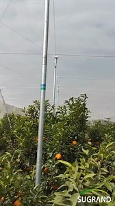 32K views · 1.1K reactions | 烈 Protect your crops with the best in...