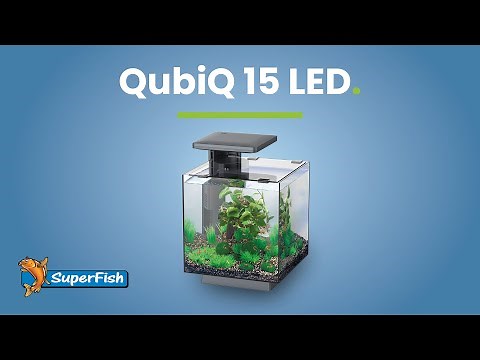 SuperFish | QubiQ 15