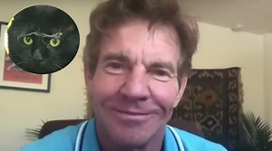 Dennis Quaid adopts cat named Dennis Quaid
