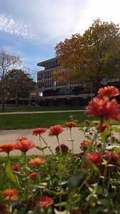 5.7K views · 261 reactions | What makes a New Trier graduate unique?...