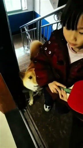 How a Big Yellow Cat Knows When Its Owner's Homecoming is Near