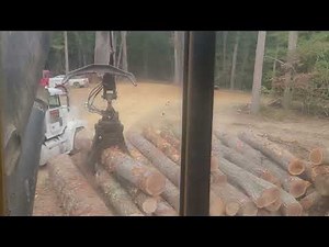 watching the Tigercat 250D, 620H and 620E processing hardwood