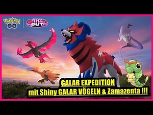 Alle GALAR VÖGEL in SHINY & Zamazenta beim EVENT Galar Expedition !!! | Pokémon GO Deutsch # 3115