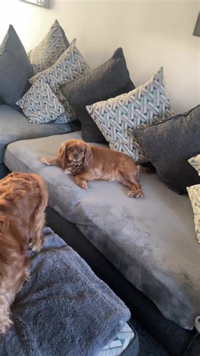 Phil bronson new acc GOODWIN (@phil.bronson.new)’s videos with original sound - Phil bronson new acc GOODWIN