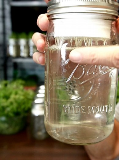 Innovative Methods to Grow Food Quickly