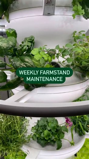 Easy as 1-2-3! The beauty of owning a Farmstand is that your job is...