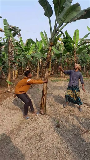 Village fun (@villagefun94)’s videos with original sound - Village fun