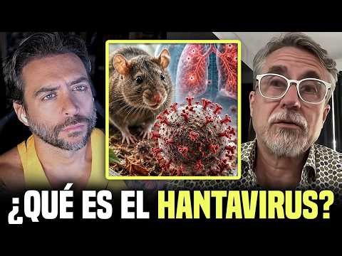 Todo sobre el HANTAVIRUS: catedrático en Inmunología lo explica sin rodeos