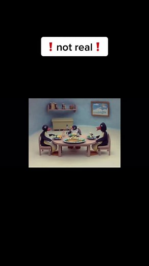 Pingu_daily on TikTok
