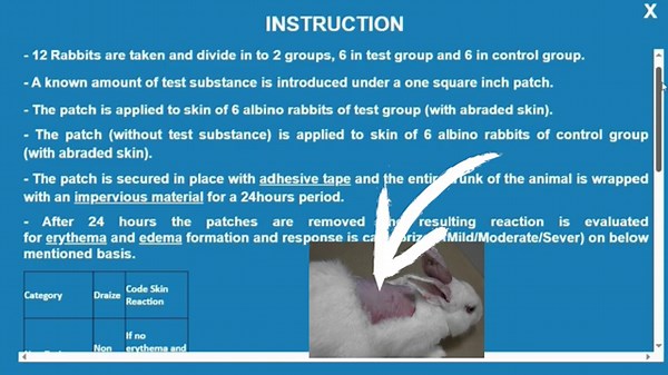 Acute Skin Irritation Test (Draize Method) Explained in English | Expharm Software