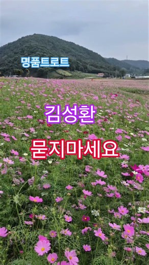 #김성환 #묻지마세요 #트로트 #명품명곡