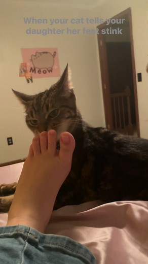 2.7K views · 12 reactions | She got them stinky toes | Crystal Quigley | Facebook