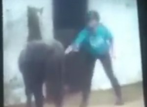 Thousands call for charges against girl caught 'abusing' pony - Horse & Hound