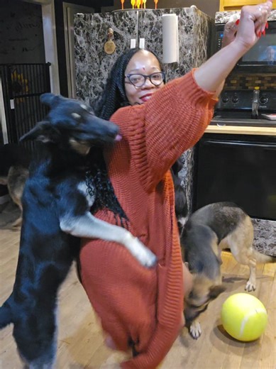 #dancingdog #dogmomlife #dance | dog dancing