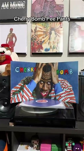 #music #vinyl #recordplayer #tylerthecreator