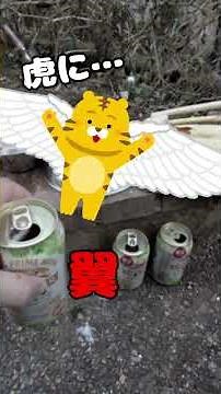 ナマコ アワビ ツマミ