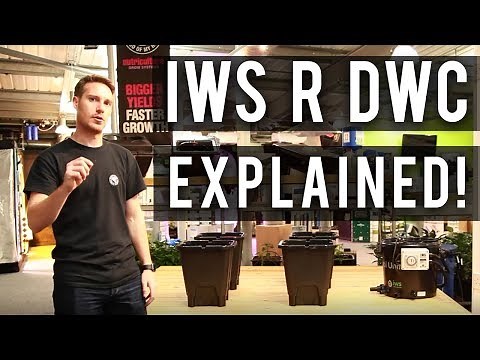 IWS R DWC Explained (Featuring Craig from NUT Systems)
