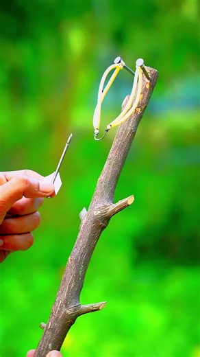 Bamboo Craft Ideas for Creative Projects