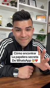 85K views · 16K reactions | La papelera secreta de WhatsApp #tips #tipsandtricks #whatsapp #android #iphonetips #lifehacks | Tipscustomdesigns | Facebook
