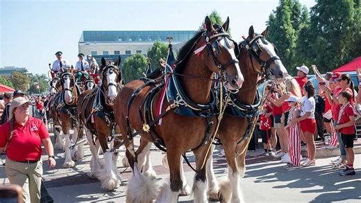Nebraska vs. Michigan State: Budweiser Clydesdales get fans in the mood for some football in Lincoln
