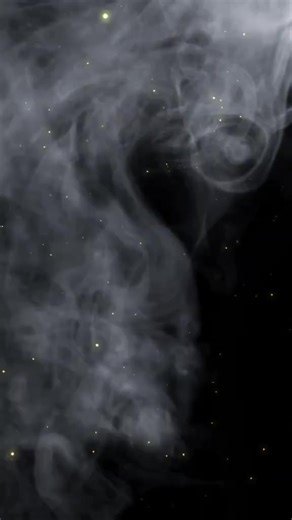 🌹Heidi🌹 (@20heidi25)’s videos with Cycle Syncing Frequency - Still Haven