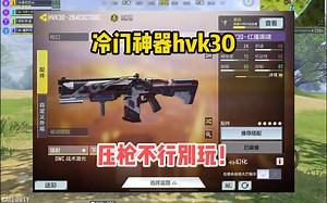 迷雾芯片bug修复，爷青回！冷门神器hvk30配件。使命召唤手游