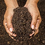 Spanish Journal of Soil Science