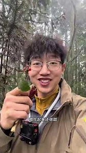 Discover Free Watercress in Chengdu's Spring Paradise