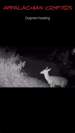 NIGHTMARE FUEL on TikTok