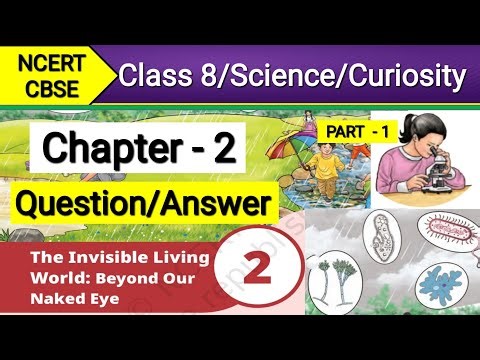 Question Answer Class 8 Science Chap 2 Curiosity | The Invisible Living World Beyond Our Naked Eye