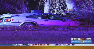 1 injured after car crashes into tree