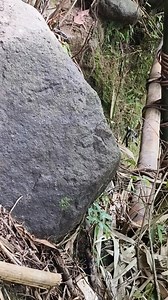 16K views · 271 reactions | Pag number 5 ang sign meaning entrance ng secret cave | LTHP TV page | Facebook