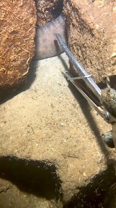 739K views · 1.4K reactions | #spearchannel #underwaterphotography #fish #pesca #reviews #pescasub #chassesousmarine #speargun #pescasubacquea #underwater #ocean #freediving #fishinglife #apnea #international #dive #freediver #gopro #fishing #pescasubmarina #saltlife #worldwide #spearo #spearfish #spearfishing #sea #diving #scubadiving | People by the sea | Facebook