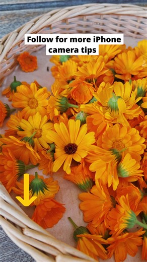 19K views · 81 reactions | Start 2026 with a Bang: 84% Off iPhone Photo Academy!  Tap here https://iphone.to/ipsfbp-2026-ny-reels-6 #iphonephotography #iphonephotographytips #iphonecameratips #photographyhacks #iphonecamerahacks | iPhone Photography School | Facebook