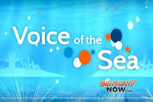 Award-winning TV Series Explores Ocean Issues in Hawai‘i | Big Island Now