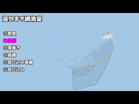 [Illustrated] Overseas Purse Seine Fishing: The most easy-to-understand animated and live-action ...