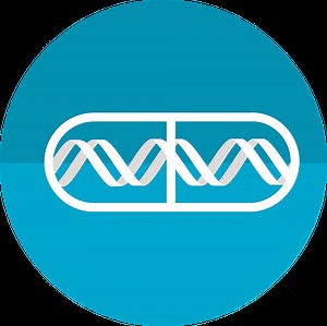 Human Genetic Variability Impacts the Efficacy of Medicine | Genetics And Genomics