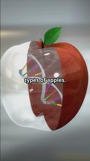 Avoid Those Dangerous Bioengineered Foods