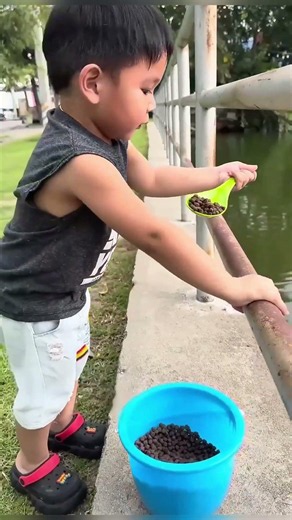 🐟 Мальчик высыпал весь корм рыбкам… Но концовка всех рассмешила! 😂