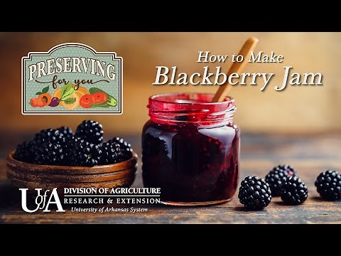How to Make Blackberry Jam - Preserving for You