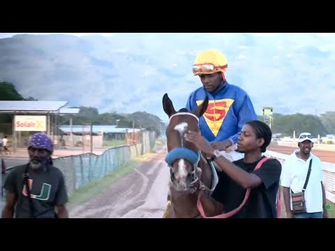 JAMAICA RACING: Papi Uso Finally A Winner, Sat, Dec 20, 2025, 8th