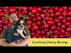 Making a Cherry Brandy - A good drink and a good base for other drinks!