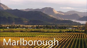 Things To Do in Marlborough | See and Do NZ