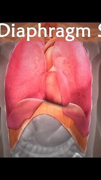 How To STOP Diaphragm Spasms